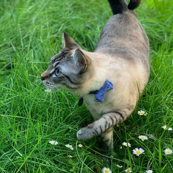 Meet your Posher, Sean - Picture 2 of 2